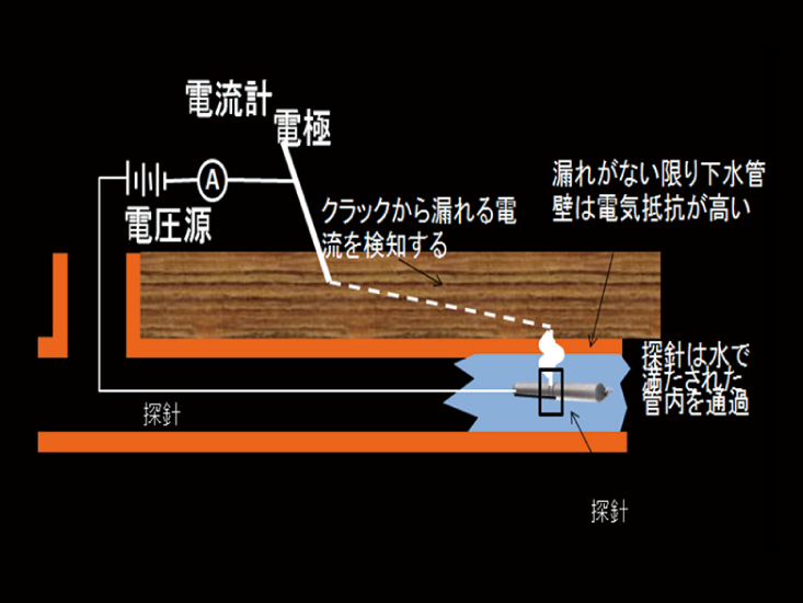 蠕動運動イメージ図