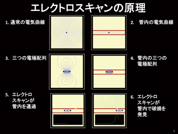 管内撮影画像